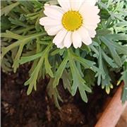 Il Tutor di attività motoria e sportiva che cercavi