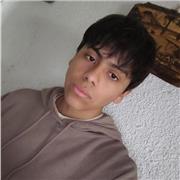 Tutorías de Matemática online para 1° a 8° básico