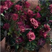 Prof par internte en FLE(français ) au primaire.