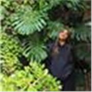 Clases particulares en línea y presenciales de inglés