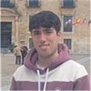 Profesor de inglés enfocado en niños del instituto. Doy clases en Madrid y alrededores. 