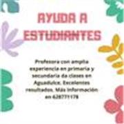 Profesora imparte clases en primaria y secundaria