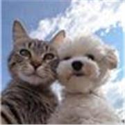 Bachiller, me gusta mucho enseñarle a los niños, para que aprendan cosas nuevas