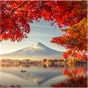 Enseignante de FLE (Français langue étrangère) donnant des cours à distance