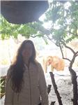 Hola, me llamo Carmen y llevo dando más de 6 años clases particulares de matemáticas, física, química y asignaturas relacionadas.
