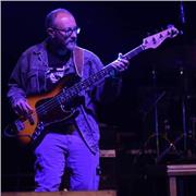 Offro lezioni di basso elettrico