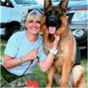 Te ayudo con cuestiones legales- Conceptos y conocimientos básicos- Diplomada Internacionalmente en Derecho Animal