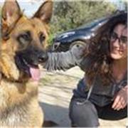 Laureata in lettere, impartisco lezioni di italiano, storia, geografia e arte