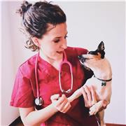Profesora titulada en Veterinaria, con alto nivel de inglés, da clases de biología, ciencias naturales, conocimiento del medio.
