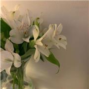 Doy clases particulares de inglés a un precio económico para poder llevar los gastos de la carrera universitaria