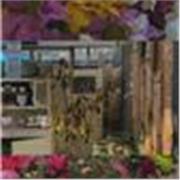 Mit Spaß Englisch lernen 😊 Geduldige Nachhilfe für Kinder. Hilfe bei Schule & Hausaufgaben. Einfach erklärt. 12–15 . Online-Unterricht!