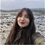 Clases particulares de Química, Física y Matemáticas (Infantil, Primaria, Secundario y Bachillerato)