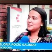 Psicología Organizacional orientación laboral, entrevistas, hoja de vida y pruebas psicotécnicas