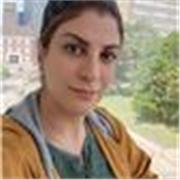 Accounting tutor who can teach people who is persuing an accounting career