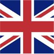 Liceale con certificazione C2 Proficiency offre lezioni private e ripetizioni di inglese a studenti di scuole elementari e medie