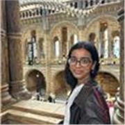 Lessons for GCSE and secondary school students delivered online