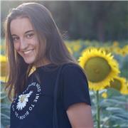 Doy clases particulares de apoyo y Refuerzo escolar para Primaria y ESO (Lengua, Conocimiento del medio, Historia etc.)