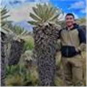 Clases particulares virtuales y presenciales de matemáticas y cálculo