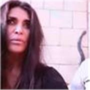 Prof d'Anglais en pre-retraite propose des cours de mise-a-niveau pour miveau CM2-College