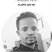 Niguse Ayele
