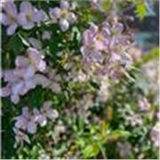 I would like to help people learn the English language in a simple way. 