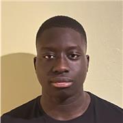 Maths and Economics Tutor for GCSE and A-levels