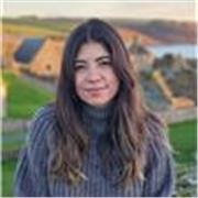 Spanish tutor providing classes for all levels