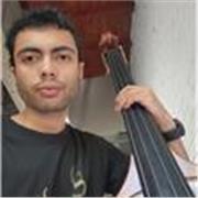 Profesor de guitarra, bajo eléctrico e iniciación musical (teoroa basica y avanzada)