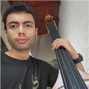 Profesor de guitarra, bajo eléctrico e iniciación musical (teoroa basica y avanzada)
