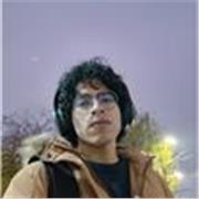 Profesor de Matemáticas a nivel primario, secundario, bachillerato y universitario