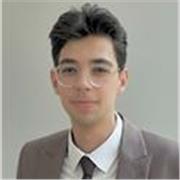 Mathematics Tutor – Robotics Master Student | Online Lessons