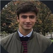 Profesor de Español para extranjeros, especialmente para personas que hablen Inglés o Francés.