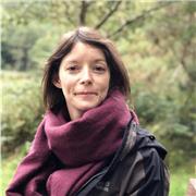 Professor Anglais avec experience