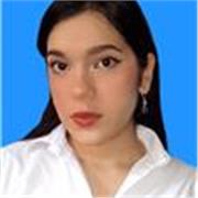 Abogada, Profesional