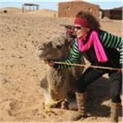 I have 15 years , Teaching English, concentrating on Pronunciation and use of English.