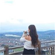 Matematik Ögretmeni