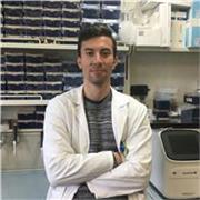 Laureato in Biotecnologie mediche offre lezioni di Biologia per studenti di liceo o università