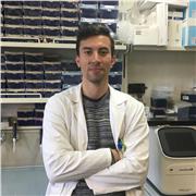 Laureato in Biotecnologie mediche offre lezioni di Biologia per studenti di liceo o università