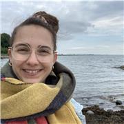 Ich biete preisgünstige Online-Nachhilfe und/oder Übersetzungen im Fach Englisch