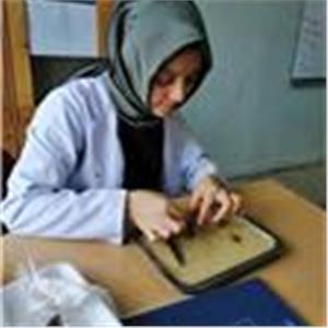 Sevim Hümeyra Bingül