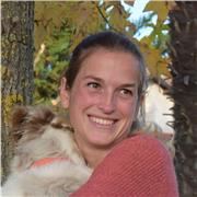 Cours de dessin entre Toulouse et Montauban