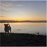 profesor de apoyo especializado en materias de apoyo a alumnos online