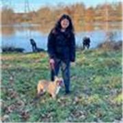 Étudiante en recherche d'expérience pour devenir professeur des écoles 