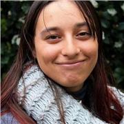 japonais débutant (kana, kanji, grammaire)