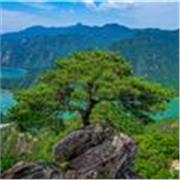 Estudiante universitaria, con experiencia en cuidado de niños