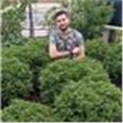 Licenciado en entrenamiento deportivo y técnico superior universitario