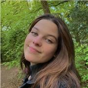 Cours de Français langue étrangère tous niveaux !
