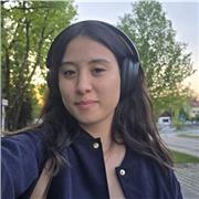 Aprende alemán online — Desde nivel inicial hasta B1- B2