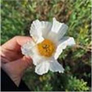 Étudiante passionné de dessin
Crayons et feutres de tout types