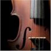 Profesor aplicado de violín para cualquier nivel bajo y medio